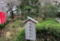 🌸【枝垂櫻與靜心古寺的邂逅】春日私藏景點：水戶大師六地藏寺一日小旅行