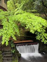 京都｜到貴船神社抽水籤 春有綠意秋楓紅 感受京都絕美詩意