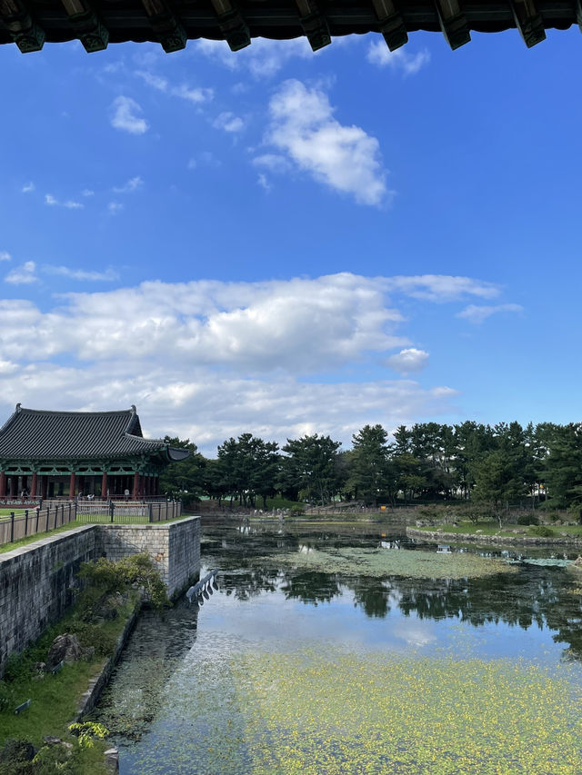 🌕 경주, 천년의 시간을 걷다