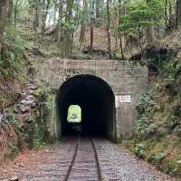 🚶‍♂️阿里山眠月線健行｜沼平車站 ⇄ 石猴車站