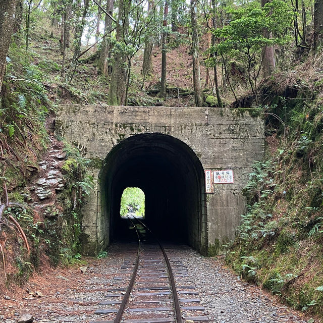 🚶‍♂️阿里山眠月線健行｜沼平車站 ⇄ 石猴車站