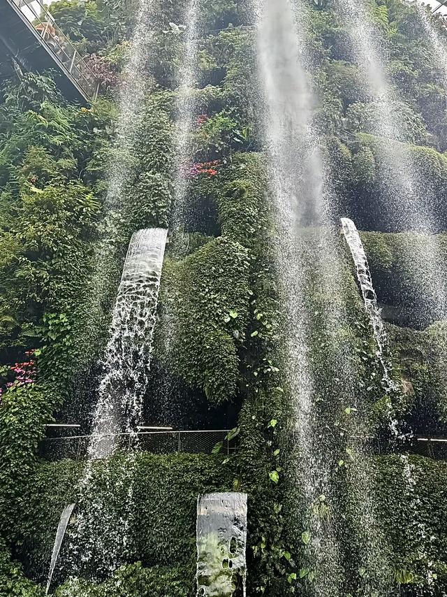 สิงคโปร์น่าเที่ยว🇸🇬