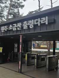 여주와 원주 여행코스
