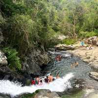 Discover a Hidden Gem: Tamborine National Park Near Brisbane