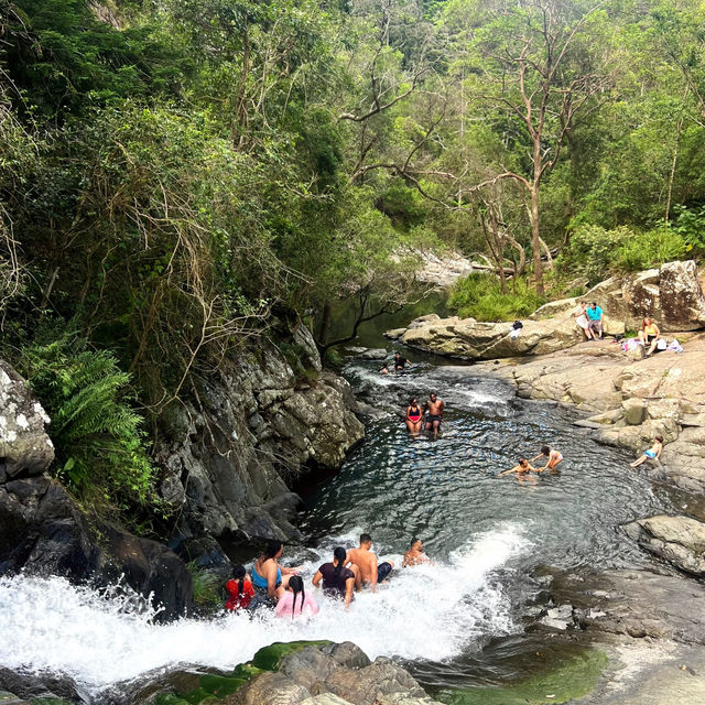 Discover a Hidden Gem: Tamborine National Park Near Brisbane