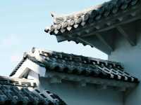 日本｜兵庫｜姬路城