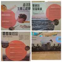 滄海遺礁展覽參觀的個人感受
