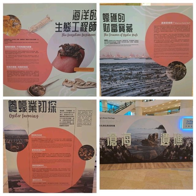 滄海遺礁展覽參觀的個人感受