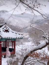 하얀 눈 가득 내려 절경을 이루는 청주 백석정❄️🩵