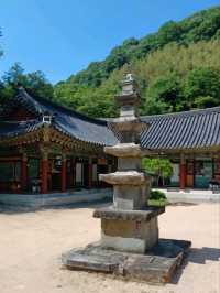 사찰 데이트는 이곳에서!