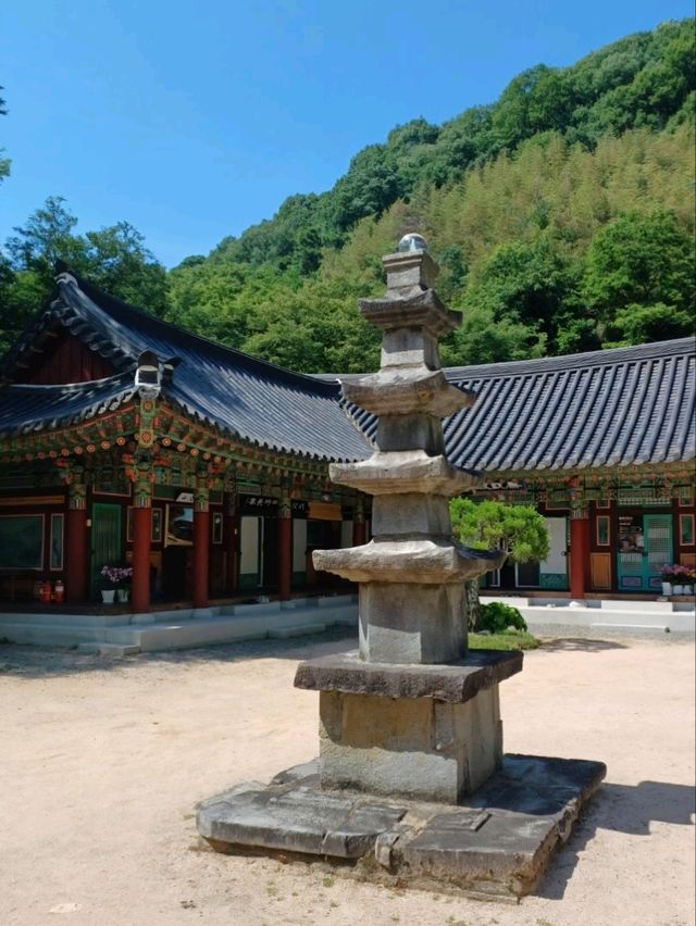 사찰 데이트는 이곳에서!