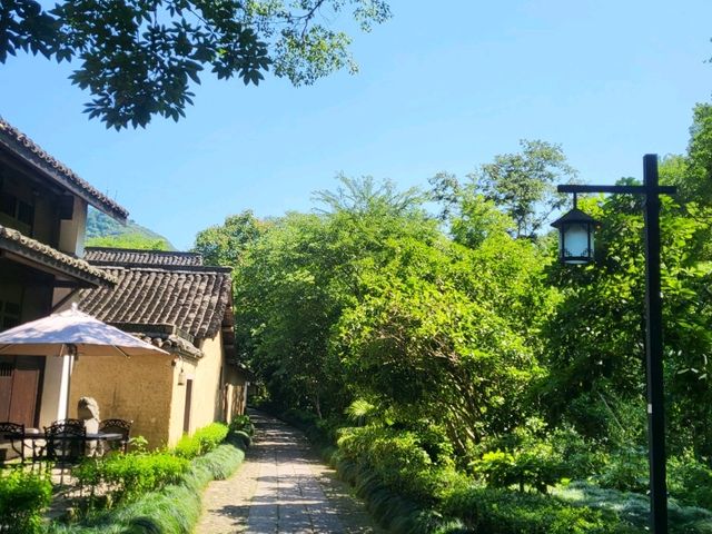 항저우의 숨겨진 보물