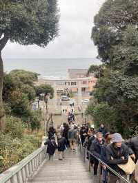 茨城冬日慢遊：歷史與藝術的悠閒邂逅