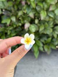 1박 5만원대 발리 숙소를 아세요?