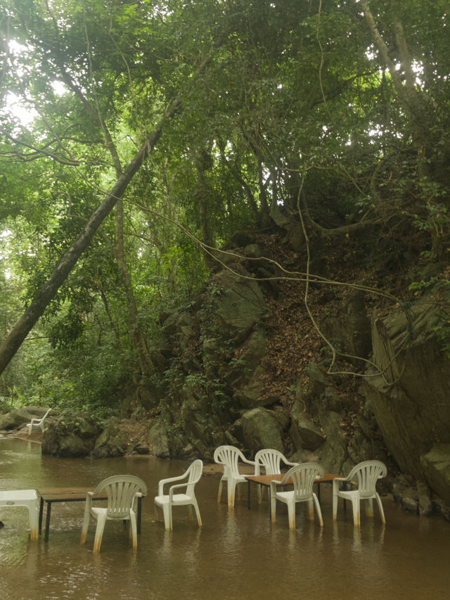 Hidden falls น้ำตกละมุนๆ เสพบรรยากาศธรรมชาติสุด 💦