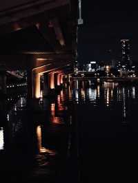 ライトアップが都会の喧騒を忘れさせる | 夜の中之島公園