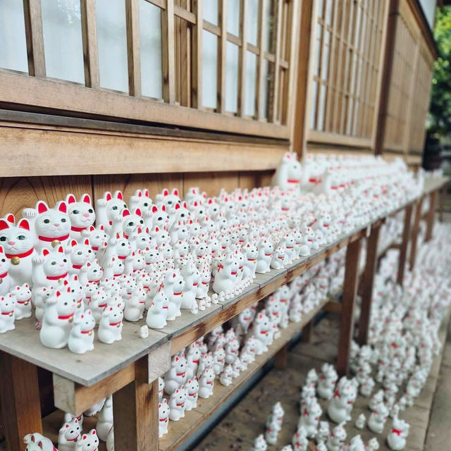 Lucky Cats and Quiet Paths: The Charm of Gotokuji Temple 🇯🇵
