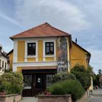 Szentendre: A Colourful Escape Near Budapest! 🎨