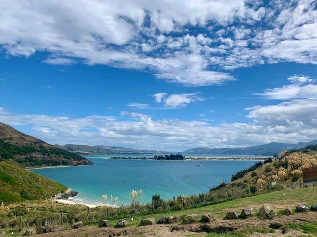 Otago Peninsula