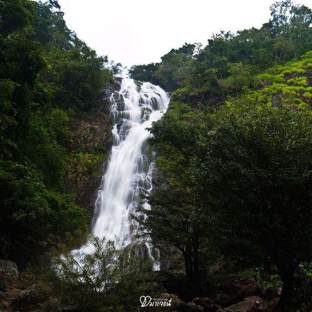 น้ำตกสาริกา 🌿 น้ำตกสุดฮิตแห่งนครนายก
