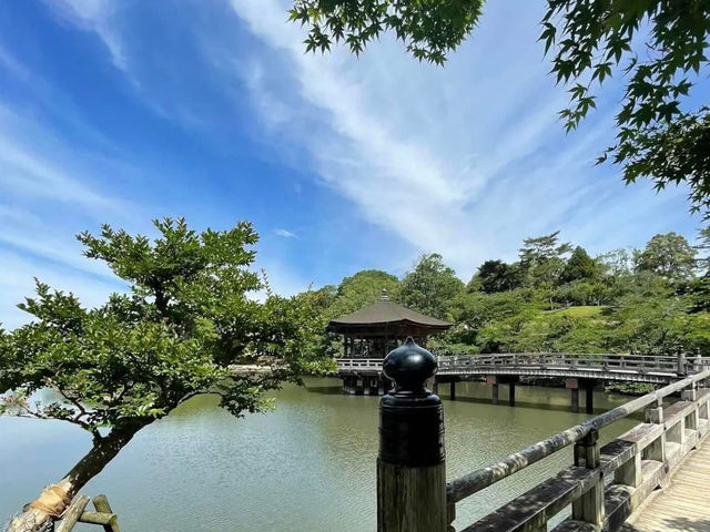 一座美麗的六角形建築，屋頂以檜樹皮搭建💕浮見堂