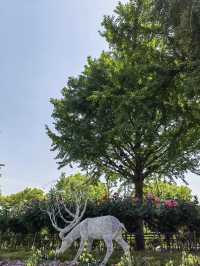 A Refreshing Green Escape – Daning Lingshi (Daning) Park, Shanghai