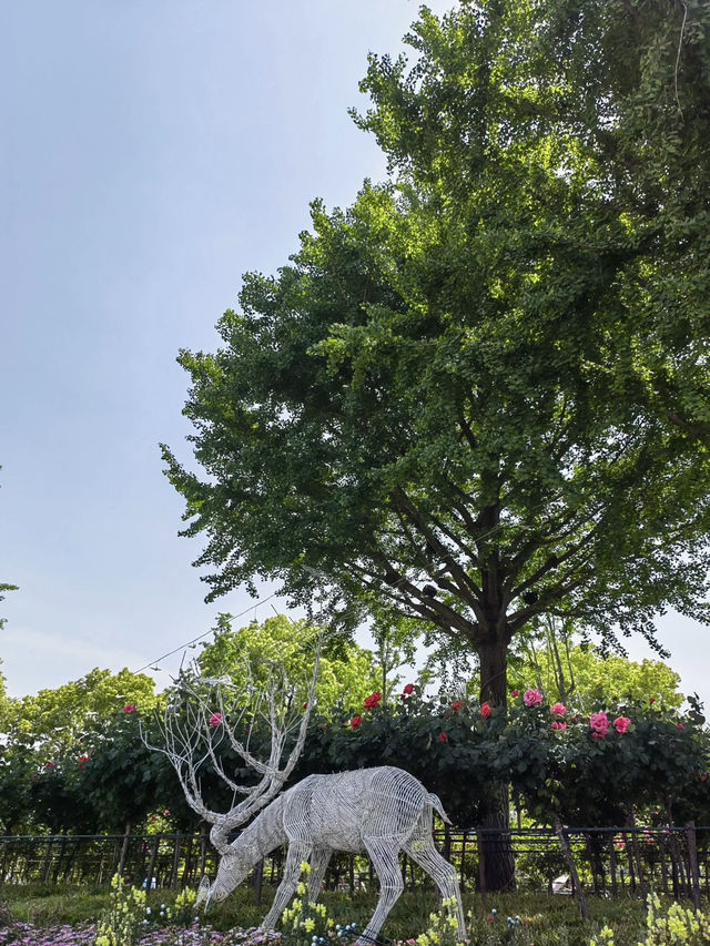 A Refreshing Green Escape – Daning Lingshi (Daning) Park, Shanghai