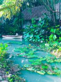 🌿☁️ บ้านไร่ไออรุณ…ระนอง