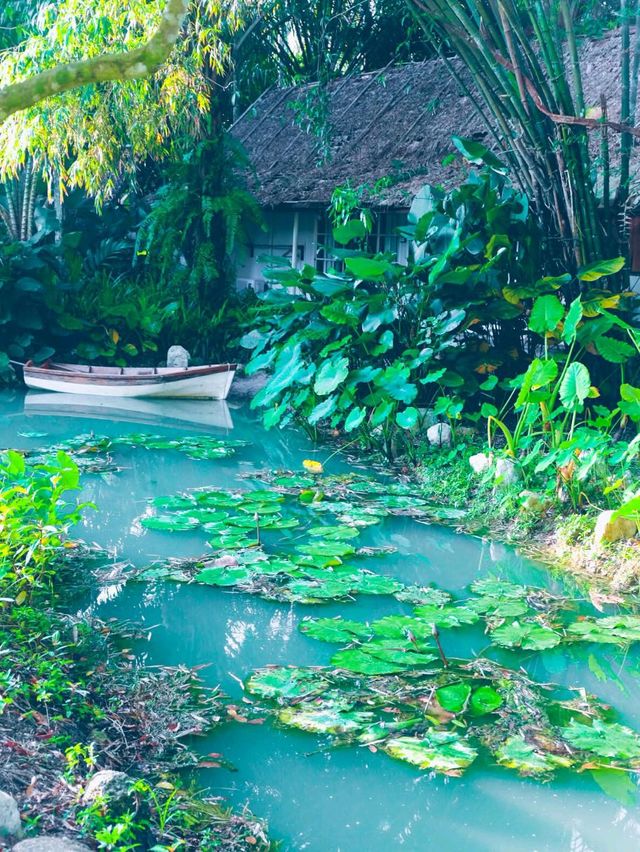 🌿☁️ บ้านไร่ไออรุณ…ระนอง