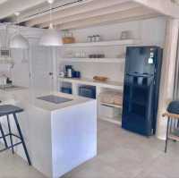 White Wood House