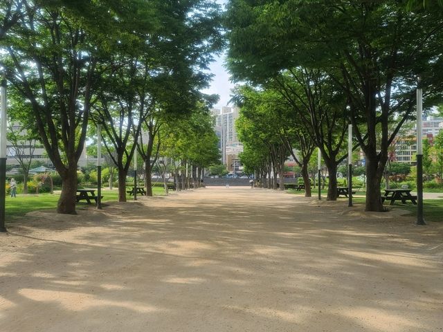 태화강 국가정원 (울산 가볼만한 곳)