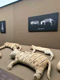 Nile to Huangpu – A 5,000-Year-Old Dialogue Across Civilizations