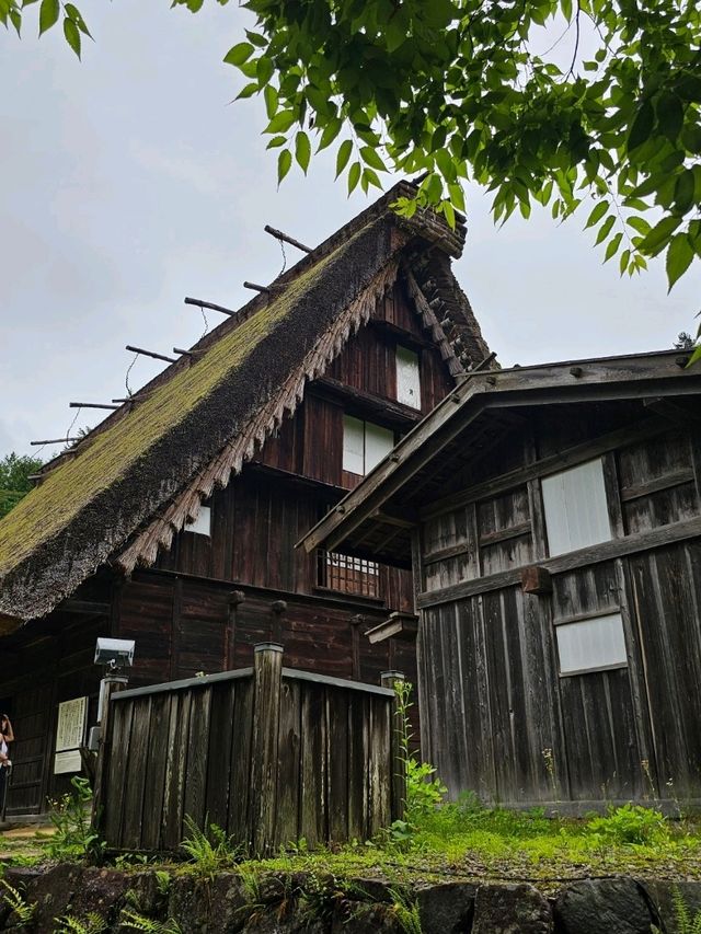 飛驒高山〔飛驒之里〕一日小旅行 🌿🏯
