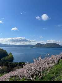 🎯【北海道・洞爺湖】カルデラに抱かれた湖と火山、静かに遊覧日帰り