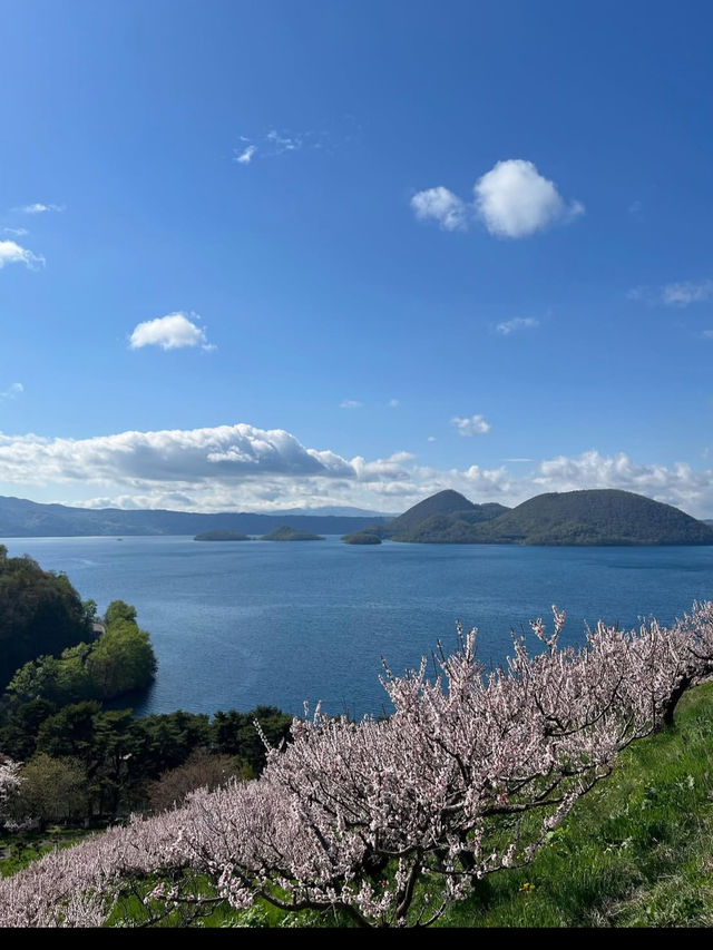 🎯【北海道・洞爺湖】カルデラに抱かれた湖と火山、静かに遊覧日帰り