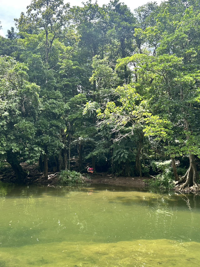 🌿🚞 1 day trip น้ำตกเจ็ดสาวน้อย📍มวกเหล็ก สระบุรี