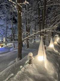 A Fairytale in the Forest: My Magical Visit to Ningle Terrace