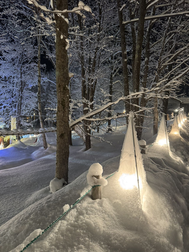 A Fairytale in the Forest: My Magical Visit to Ningle Terrace