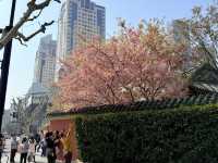上海｜交通大學·徐匯校門
