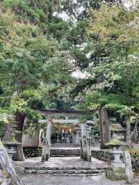  🏞️走進童話山村｜白川鄉合掌村秋日漫遊