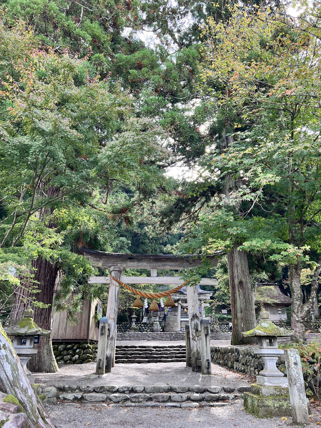  🏞️走進童話山村｜白川鄉合掌村秋日漫遊