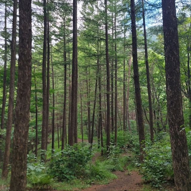 Hidden Gem Feels, Gongjak Mountain 