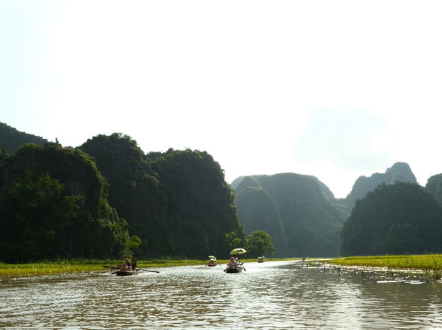Tam Coc - Golden fields and timeless beauty 🌾
