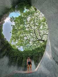 🍀Spiral staircase with the tree view 📍Fort Canning Park 🌳