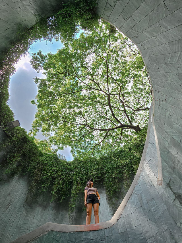 🍀Spiral staircase with the tree view 📍Fort Canning Park 🌳
