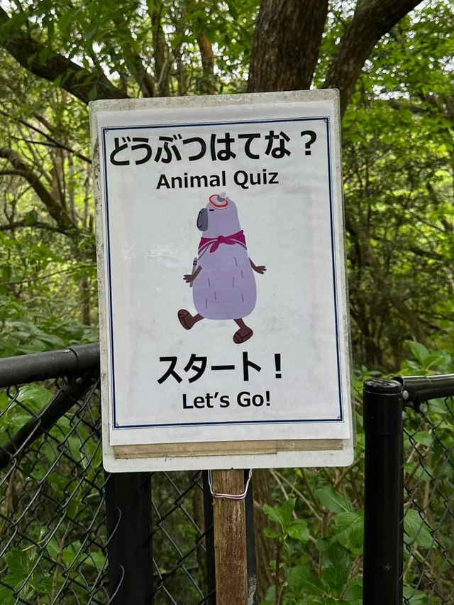 長崎Bio park- 教育與感動兼具的動物園