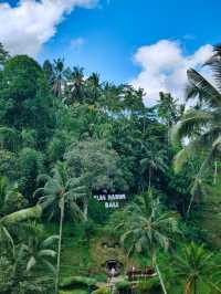 Alas Harum Ubud: Where Every Corner Screams Bali 🌿☕🌾