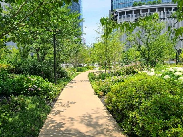 오사카 Umekita Park 안도타다오전 가이드~!