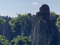 Must Visit - Magical Sone Forest Yunnan , UNESCO site 