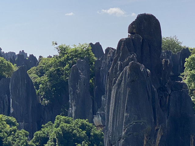 Must Visit - Magical Sone Forest Yunnan , UNESCO site 